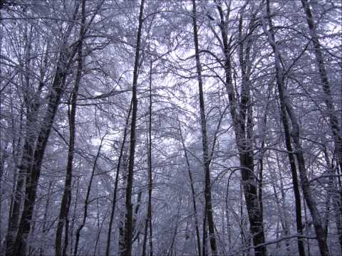 Here we come a wassailing - Celtic carol (Carlyle Fraser)