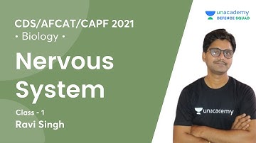 Nervous System | Biology | CDS/CAPF/AFCAT 2021 | Ravi Sir