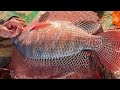 Popular big tilapia fish cutting live in fish market bangladesh  fish cutting skills