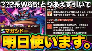 【ドラクエタクト】一見強そうに見えるけど...【マガシドー性能評価】