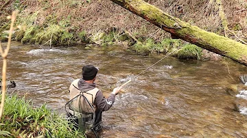 Où pêcher la truite en Ariège ?