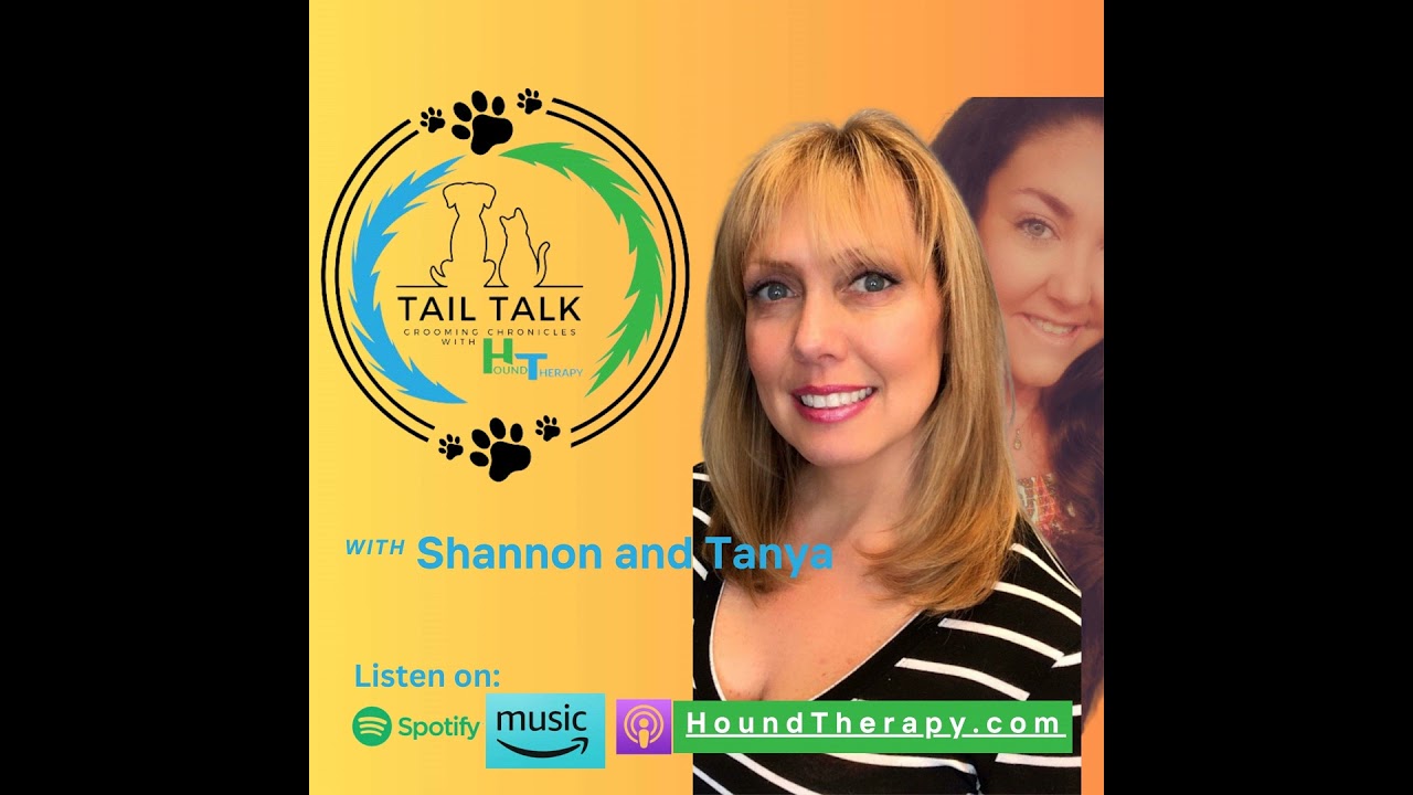 Consistency is Key: How to Strengthen the Bond With Your Furry Friend