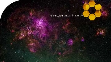 Fermi Space Telescope finds the first extragalactic gamma-ray pulsar