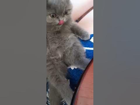 мамо, доки я буду сама себе купати, я ж маленька ще, покупай мене☺️# ...