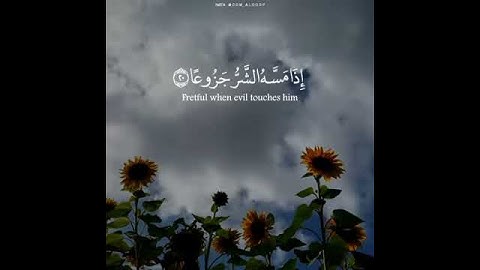 (ان الانسان خلق هلوعا) بصوت القارئ إسلام صبحي | حالات واتساب دينية