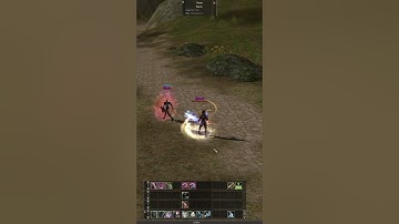 Lineage 2 Interlude Adventurer PvP