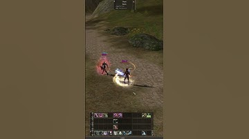 Lineage 2 Interlude Adventurer PvP