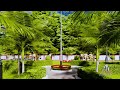 Garden design - Design by - Well Vista Associate #9120104272 (Er. Vivek Sonkar)