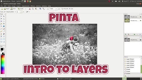 Pinta: Intro to Layers (The Basics)