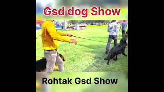 Dog show Rohtak by Passion of pets 15 views 1 month ago 2 minutes, 17 seconds