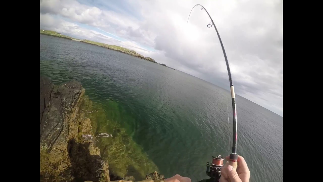 Shore fishing for pollock YouTube