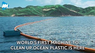 Celebrity World’s First Machine To Clean Up Ocean Plastic Is Here Net Worth