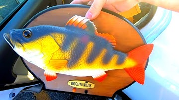 This is What A Successful Amazon Fba & eBay Seller Does All Day