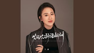 大风吹倒梧桐树 (DJ Eva版)