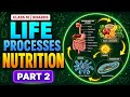 Class 10 Biology Chapter 1 Life Processes: Nutrition Part 2 | Full Chapter Basics in Oneshot