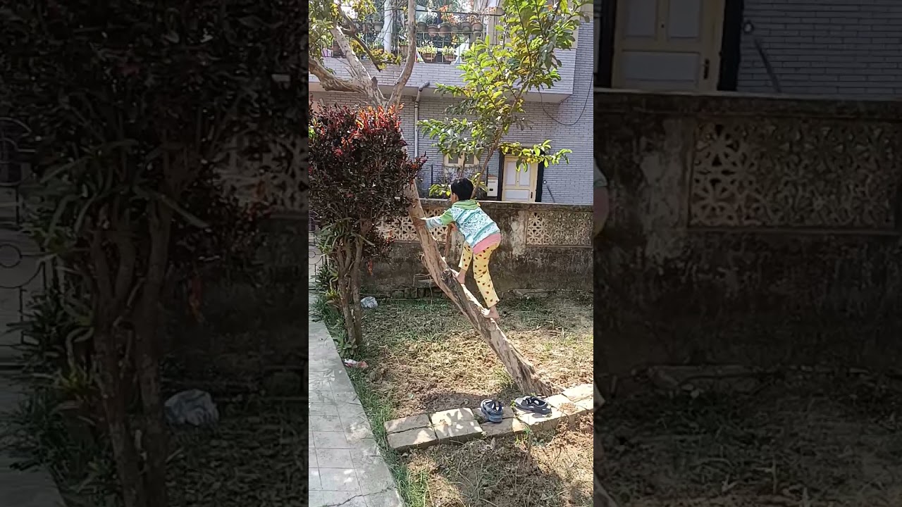 climbing on a tree by a kid