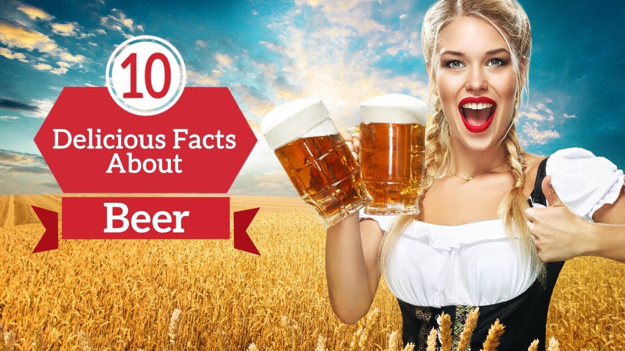 Beer video. Чешское пиво новое. Чешское пиво с мужиком на картинке. Facts about Beer.