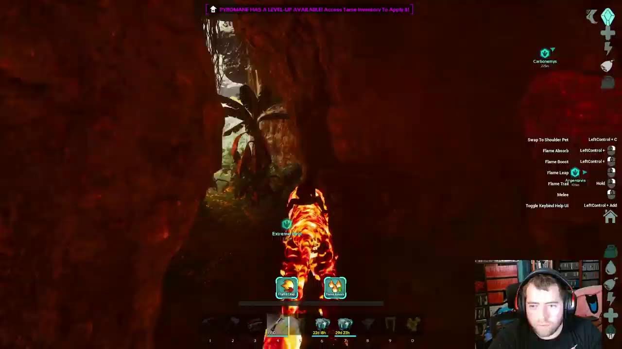 Ark Survival Ascended (Doing a bit of everything)