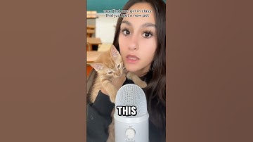 the END is shocking.. #asmr #explore #satisfying #asmrsounds