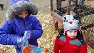 Pumpkin picking at Ort farm 10/23/16(2)