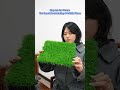 Robotic Turf Manufacturing: See How We Make Perfect Grass (Factory Tour) #ArtificialTurf #OEMTurf