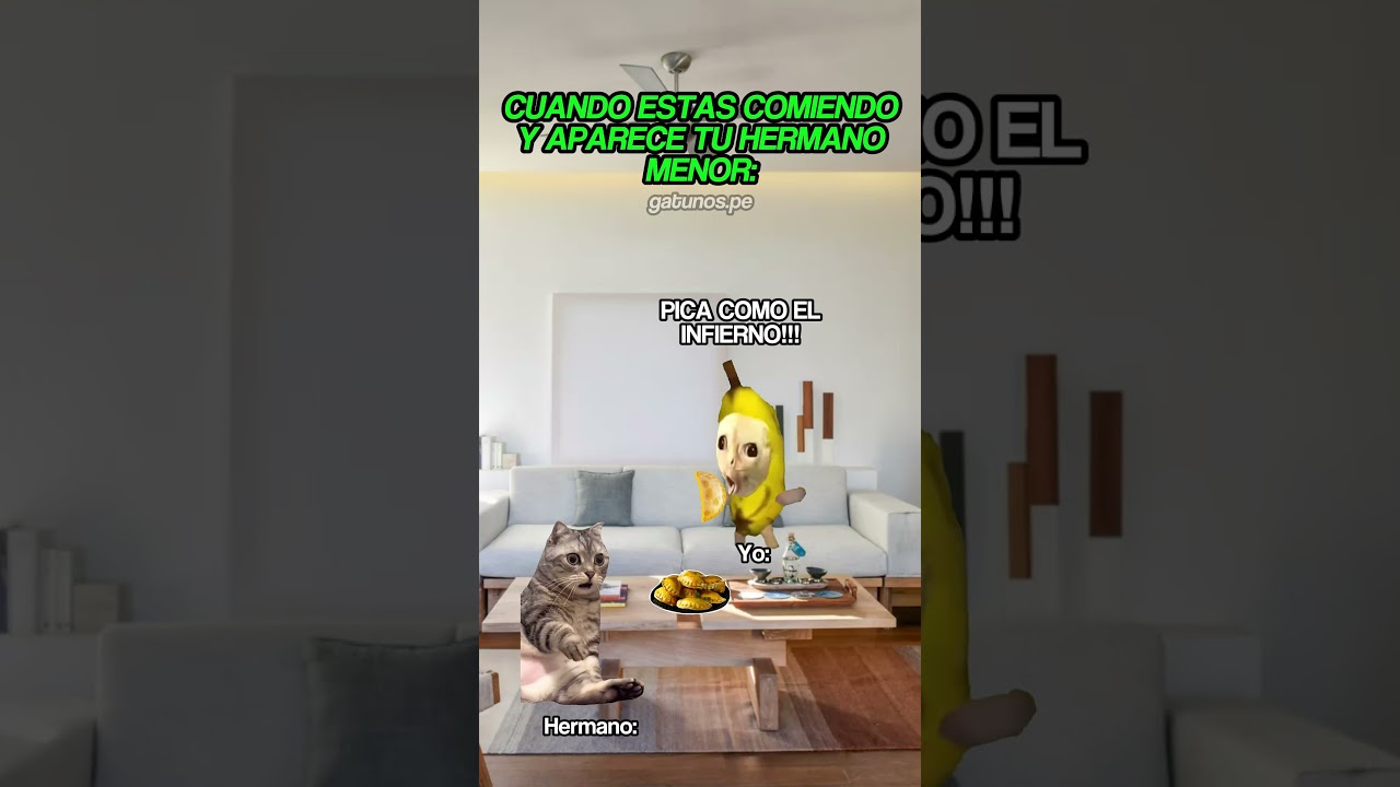 😂 #gatitoslindos #storytime #cat #gato #funnyvideo #fyp #memes #humor #michis #viral