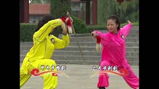 Jianshu 6 duan wei Chinese Wushu Duanwei 剑 straight sword