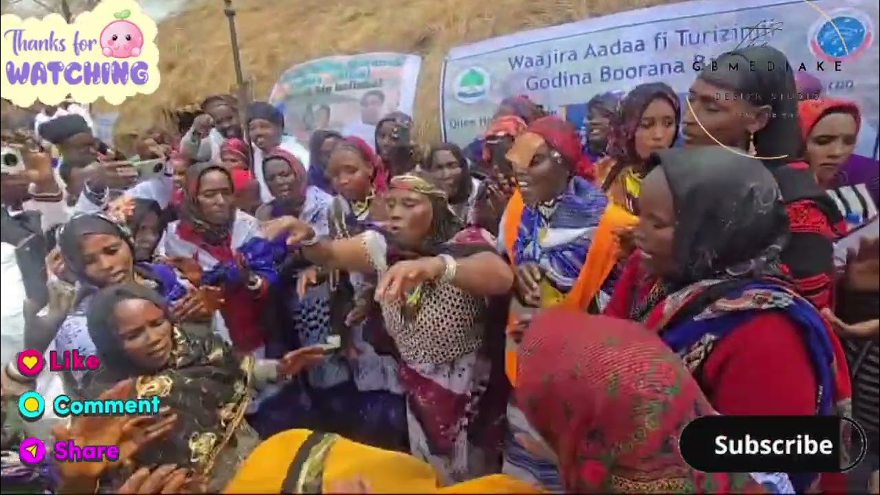 Borana Arero Sirb Looni Best 2025