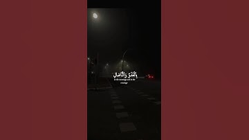 اكتب شيء تؤجر عليه ❤️😴 / القارئ ياسر الدوسري