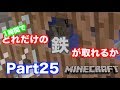 【マインクラフト・ニンテンドースイッチ】 アイアンゴーレムトラップ起動!! 1時間でどれだけ鉄が取れるのか!! 実況 Part25