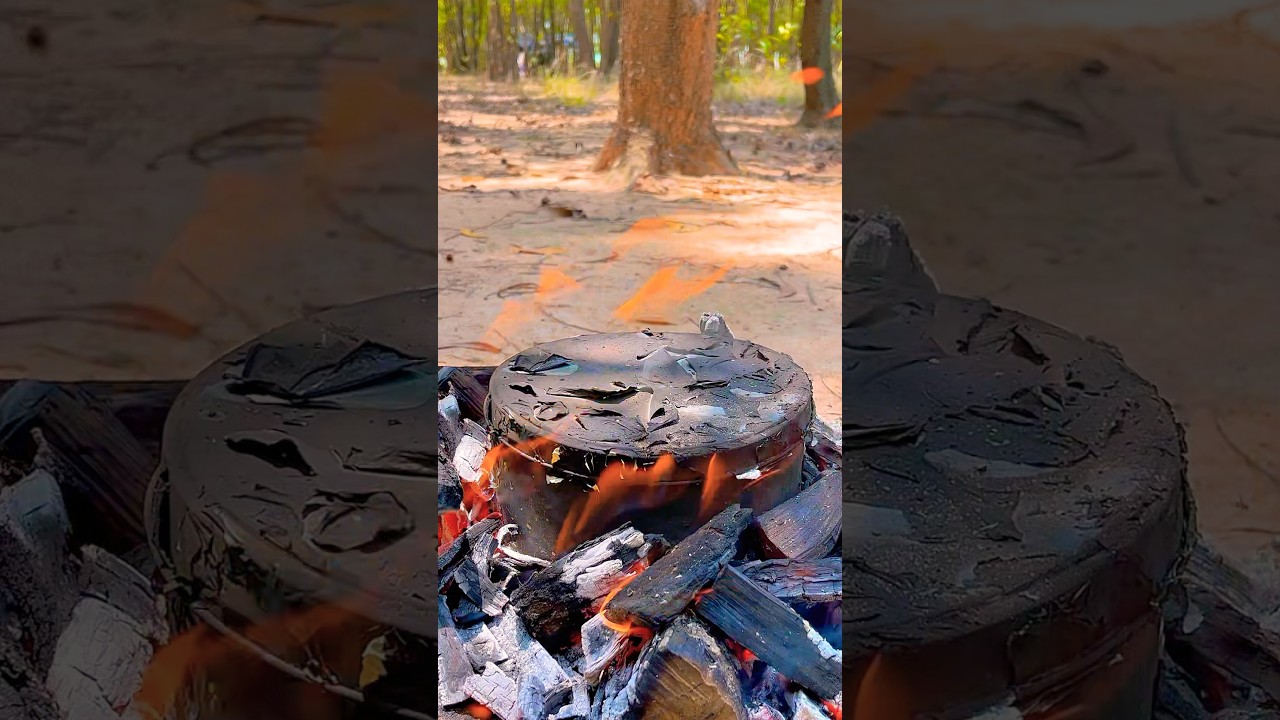 Amazing Lifehack: How to Easily Make Natural Charcoal 