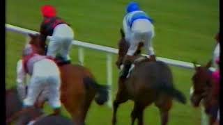 1984 Irish 1,000 Guineas Katies