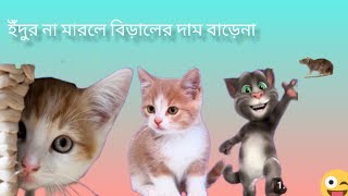 অপরাধী বিড়াল Oporadhi biral cat oporadhi by bangla funny song 2023