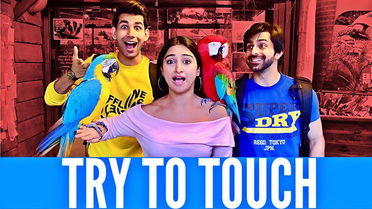 Try to Touch | Rimorav Vlogs