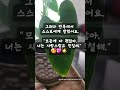 내인생의 신호되기 #BobProctor #삶의지혜 #YouAlreadyAre #쑈츠 # 행복 #끌어당김 #자기계발 #shorts