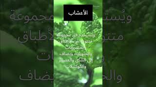 فوائد النعناع