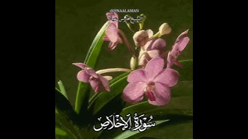 سورة الإخلاص | الشيخ فارس عباد،  استغفر الله العظيم واتوب اليه