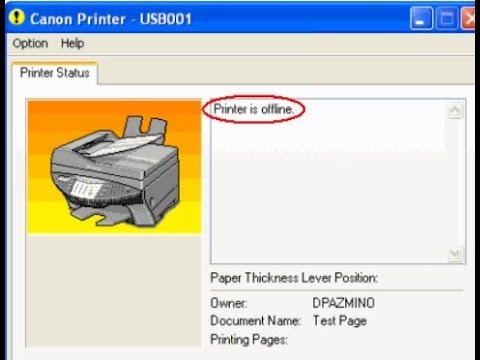 change printer to online