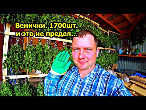 Берёзовые веники на продажу. Планка в 1700 шт. реализована. Какой он, бизнес на вениках?