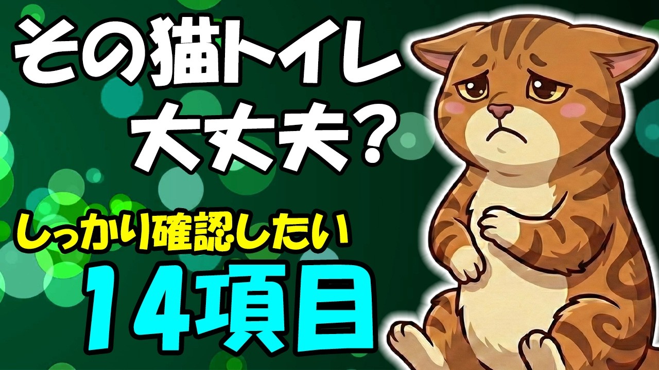 【これで解決】トイレは猫の聖域、ちゃんとチェックしたい。【一人解説】