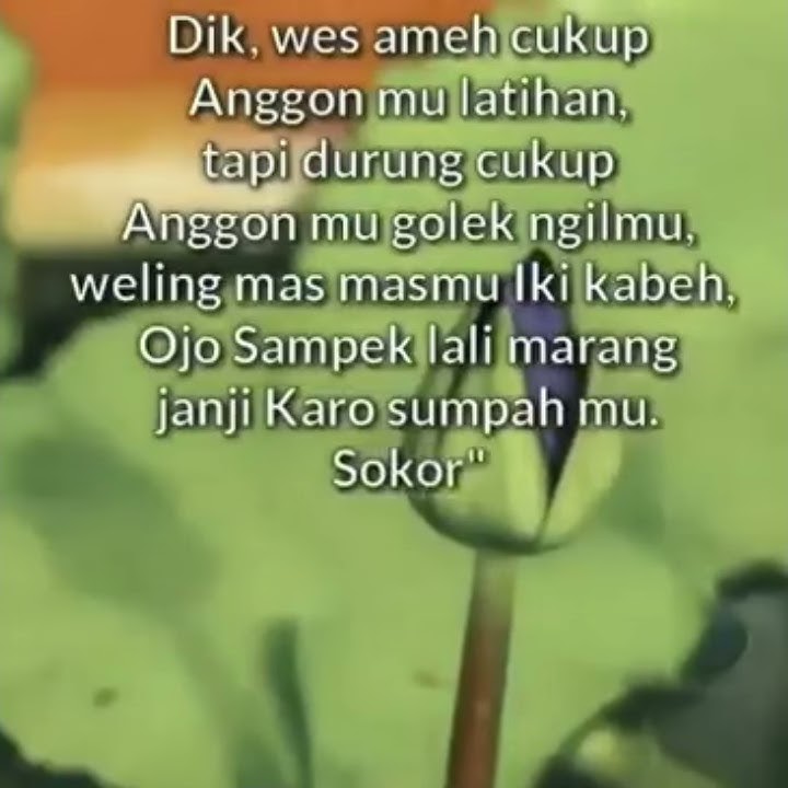 Wis wayahe kembange mekar||PSHT JAYA-BUDZEEL KONSLETE