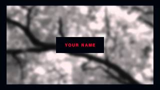 2D Intro Template | C4D/AE | Free