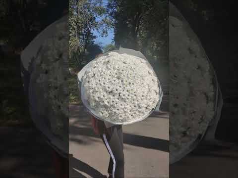 Великий букет з білих хризантем 3