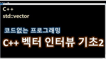 C++ 벡터 강의 강좌 프로그래밍 2강 vector STL 인터뷰