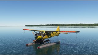 Amazon River Headwater