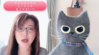 猫の好きなトイレの砂は？