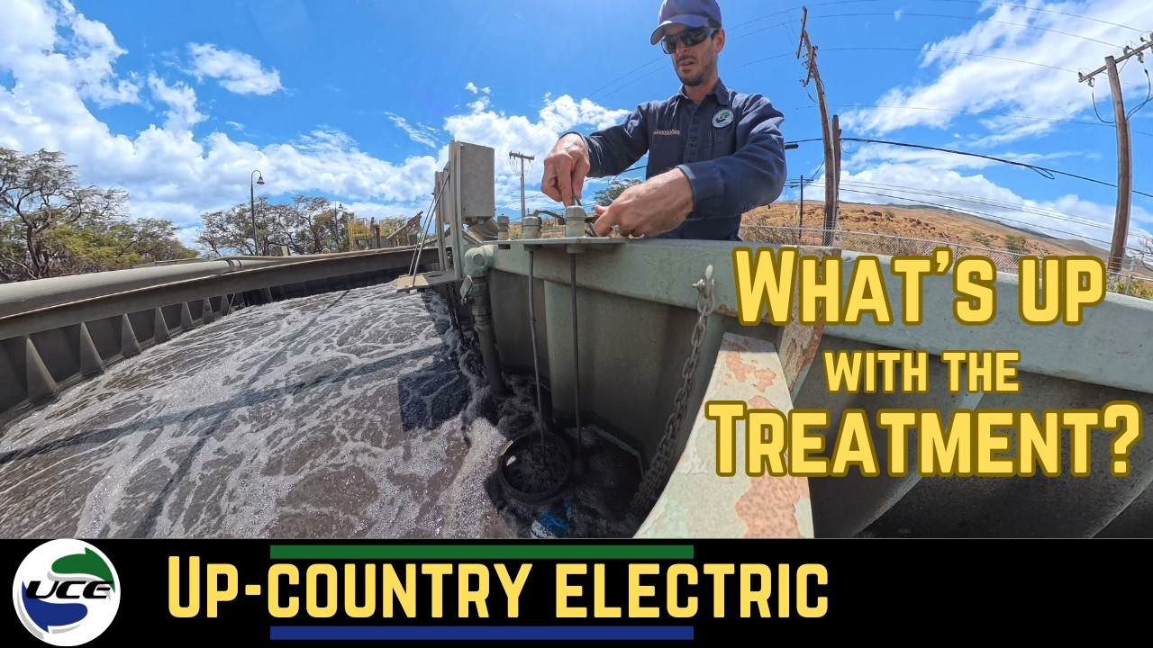 What's With All This Treatment Lately?