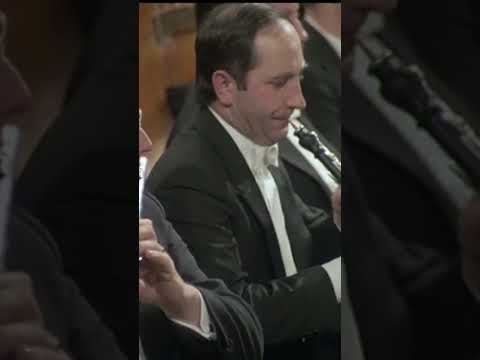 Leonard Bernstein — Schumann - Symphony No. 2 (Mvmnt. 3 Excerpt) | Leonard Bernstein - Vienna Philharmonic