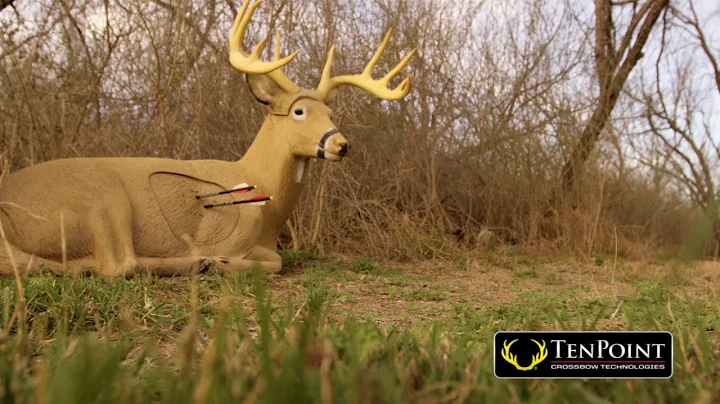 What is the Effective Range of a Hunting Crossbow? | TenPoint Crossbows.