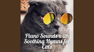 Catnap Cadence